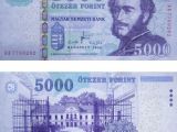 Forint 5000